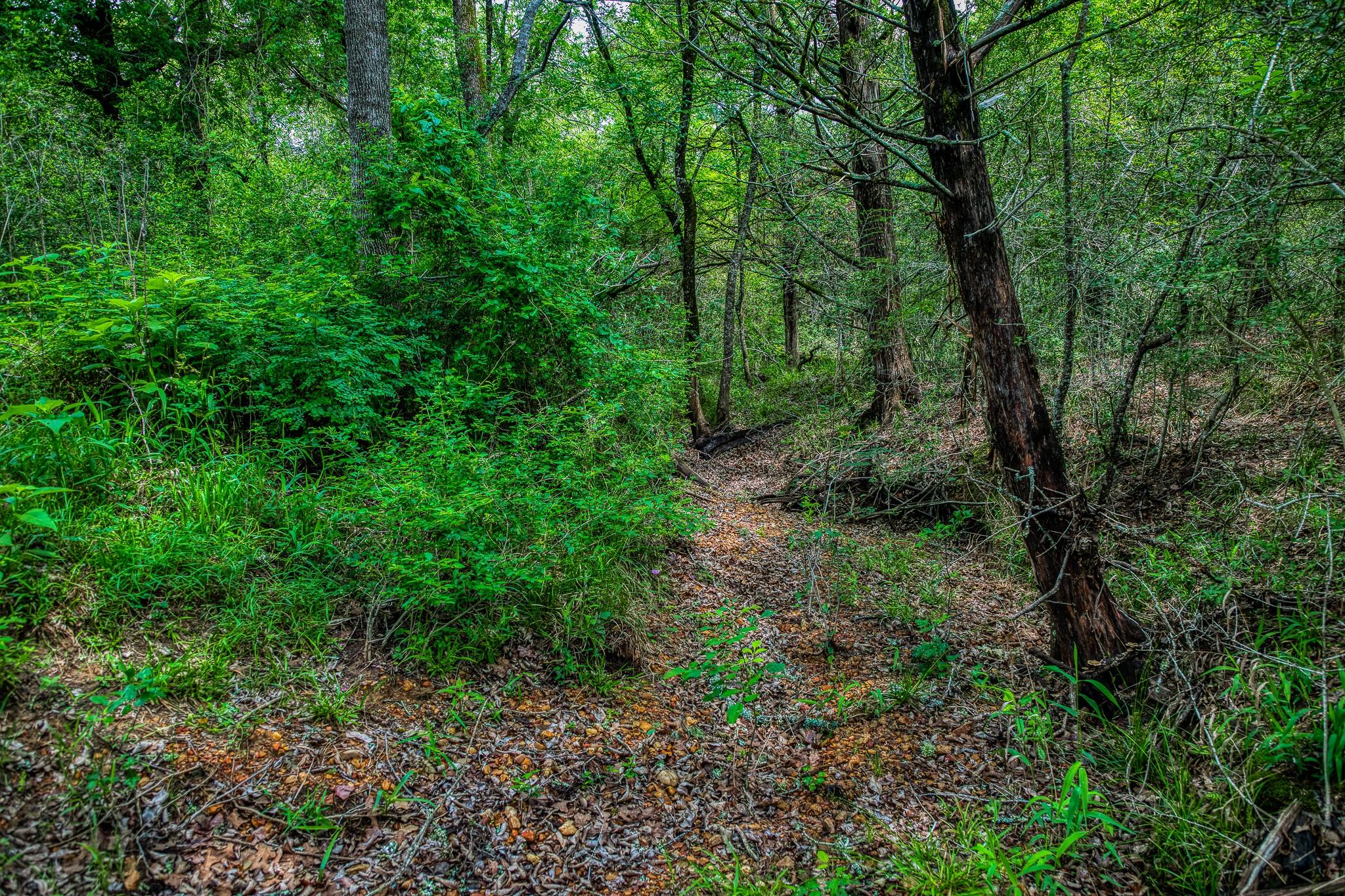 1136 Private Road 4291 Property Photo 14