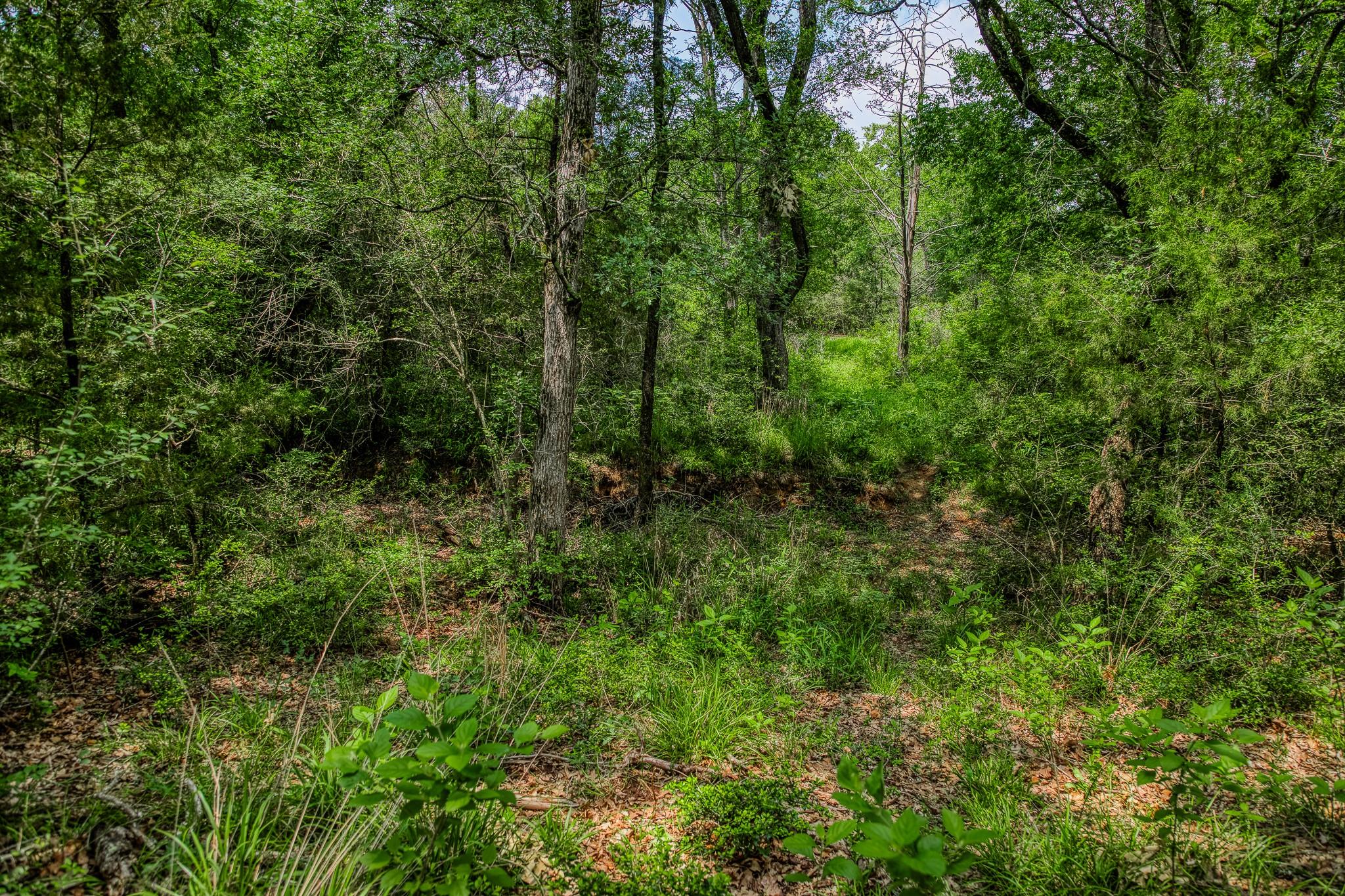 1136 Private Road 4291 Property Photo 17