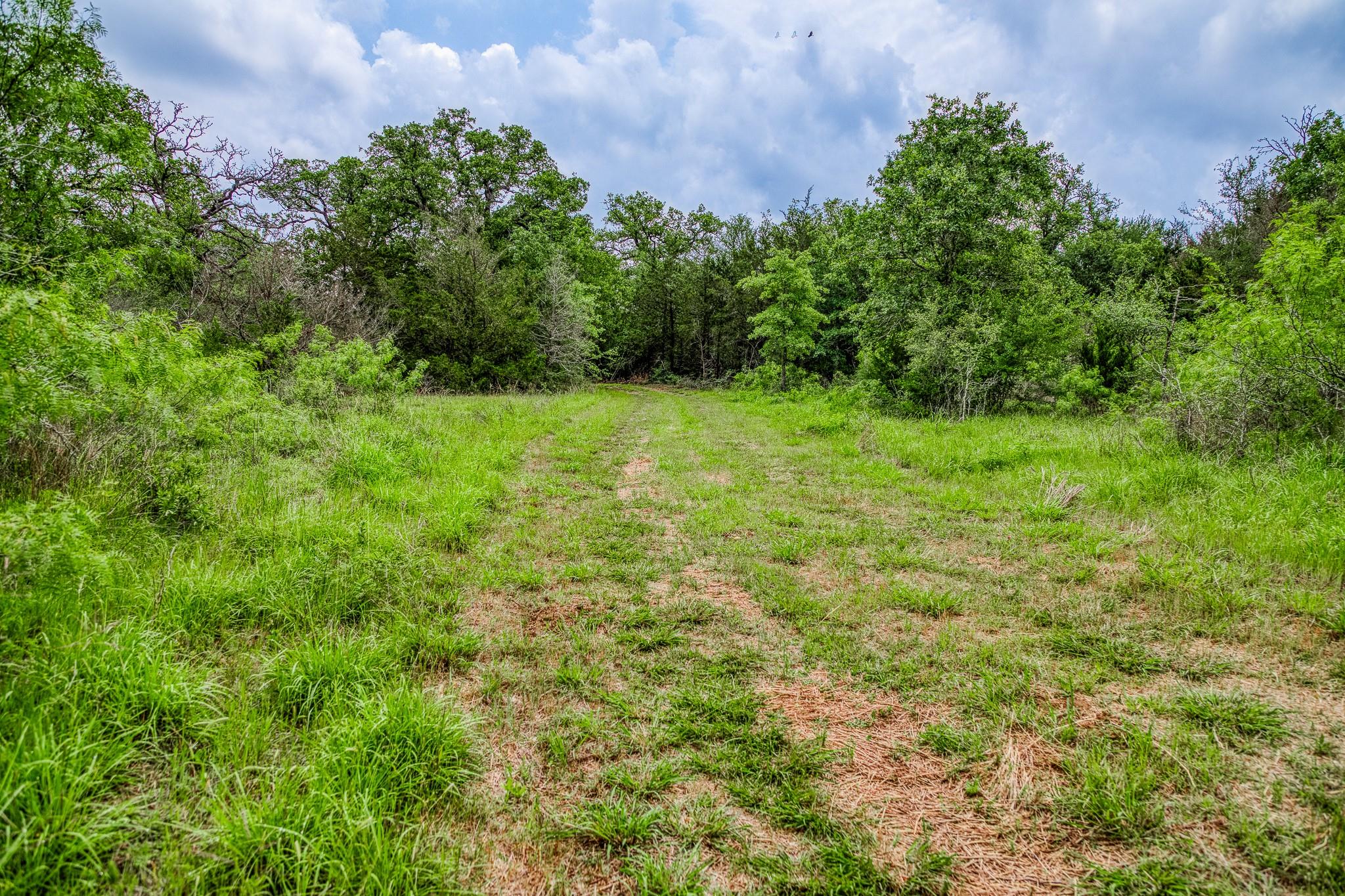 1136 Private Road 4291 Property Photo 18