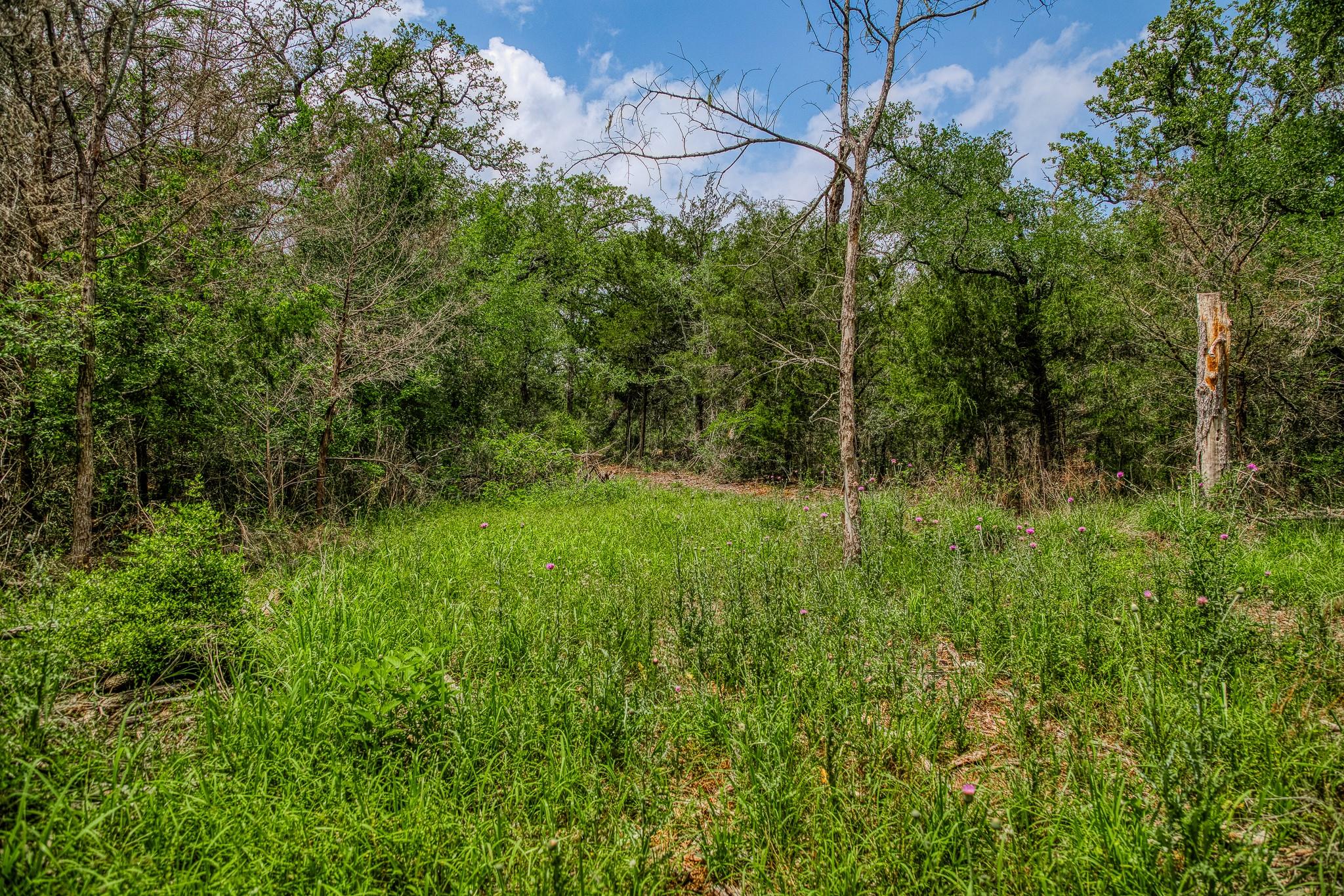 1136 Private Road 4291 Property Photo 24