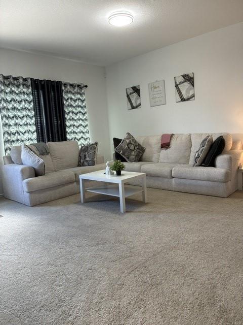 233 Perfect World Loop Property Photo 4