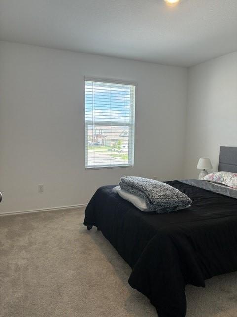 233 Perfect World Loop Property Photo 13