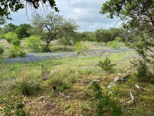 1365 Pedernales Hills Rd Property Photo
