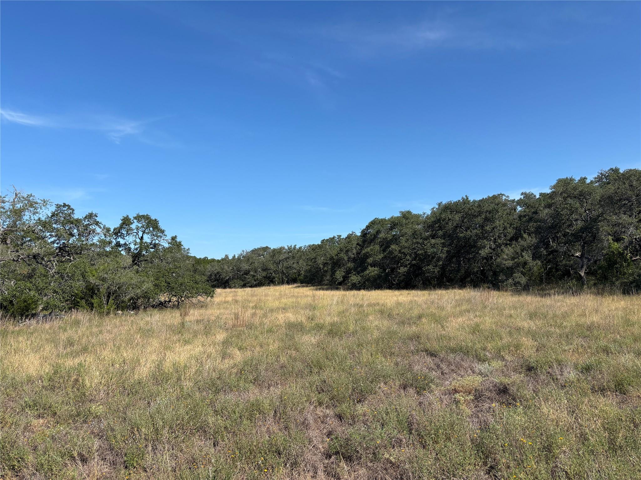 955 Upper Balcones Rd Property Photo 3