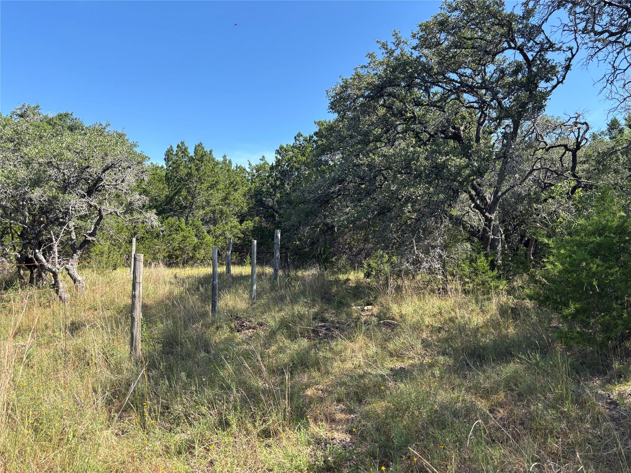 955 Upper Balcones Rd Property Photo 4