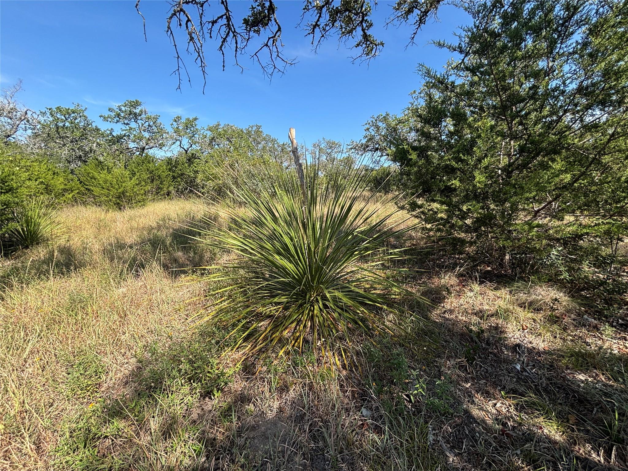 955 Upper Balcones Rd Property Photo 9