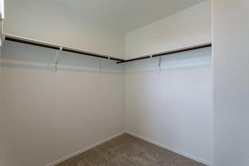 7104 Spotted Leaf Way Property Photo 22