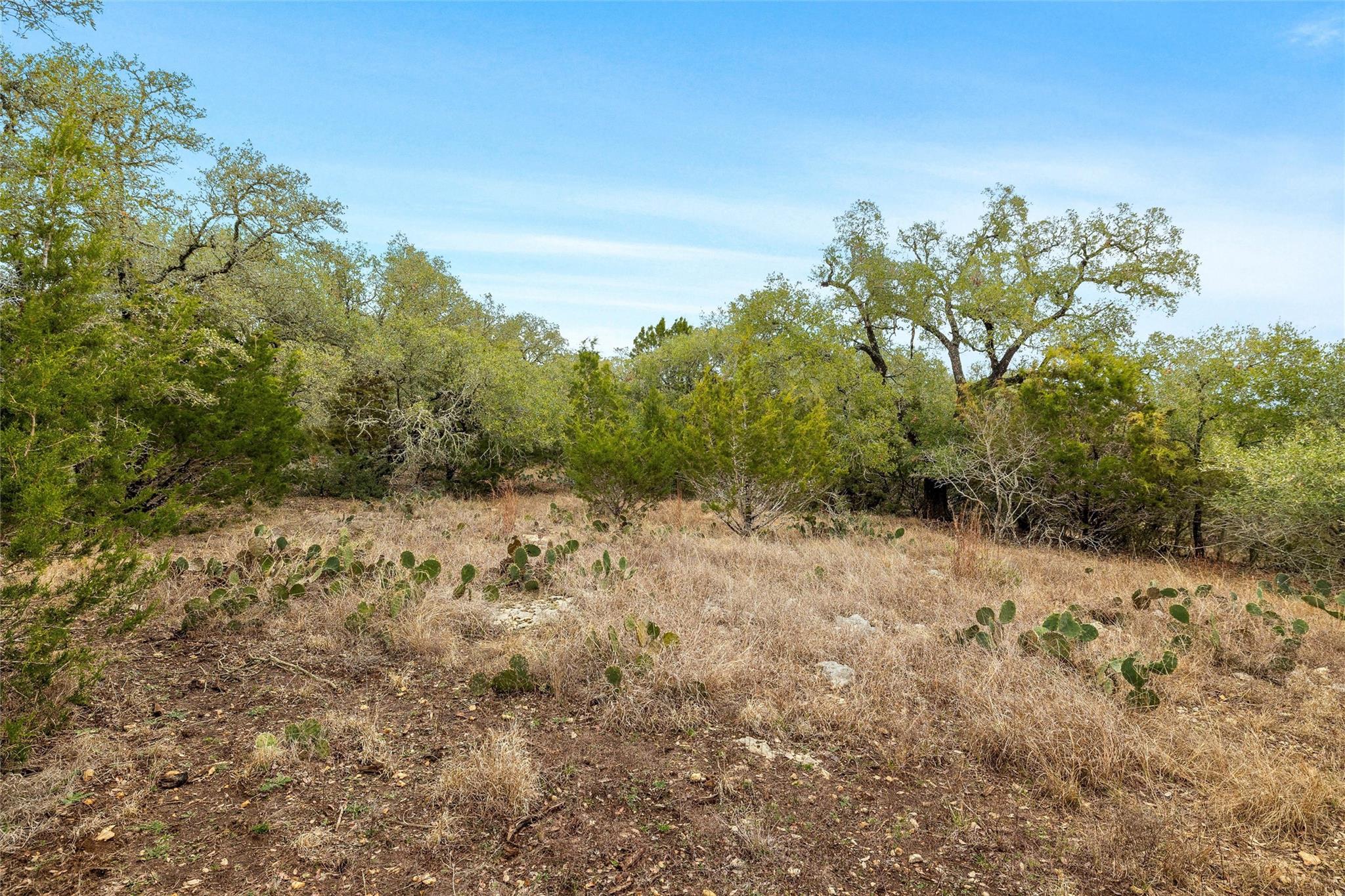 1080 Beauchamp Rd Property Photo 13