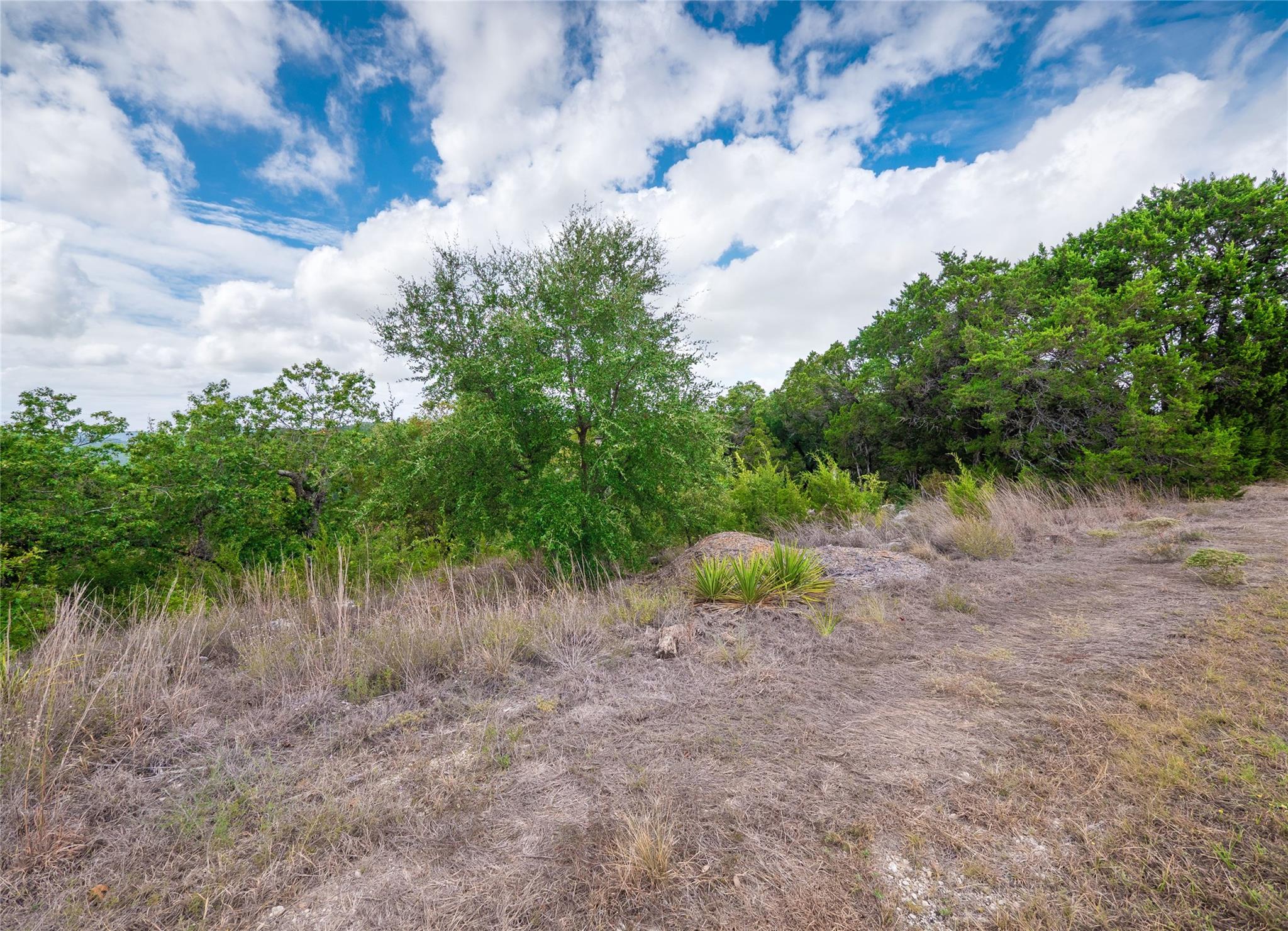 9002 Bar K Ranch Rd Property Photo 22