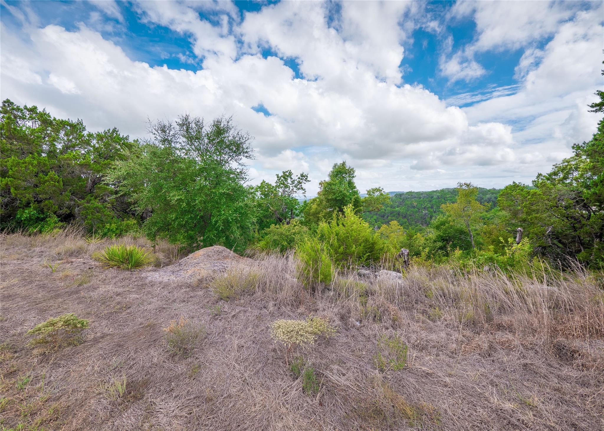 9002 Bar K Ranch Rd Property Photo 23