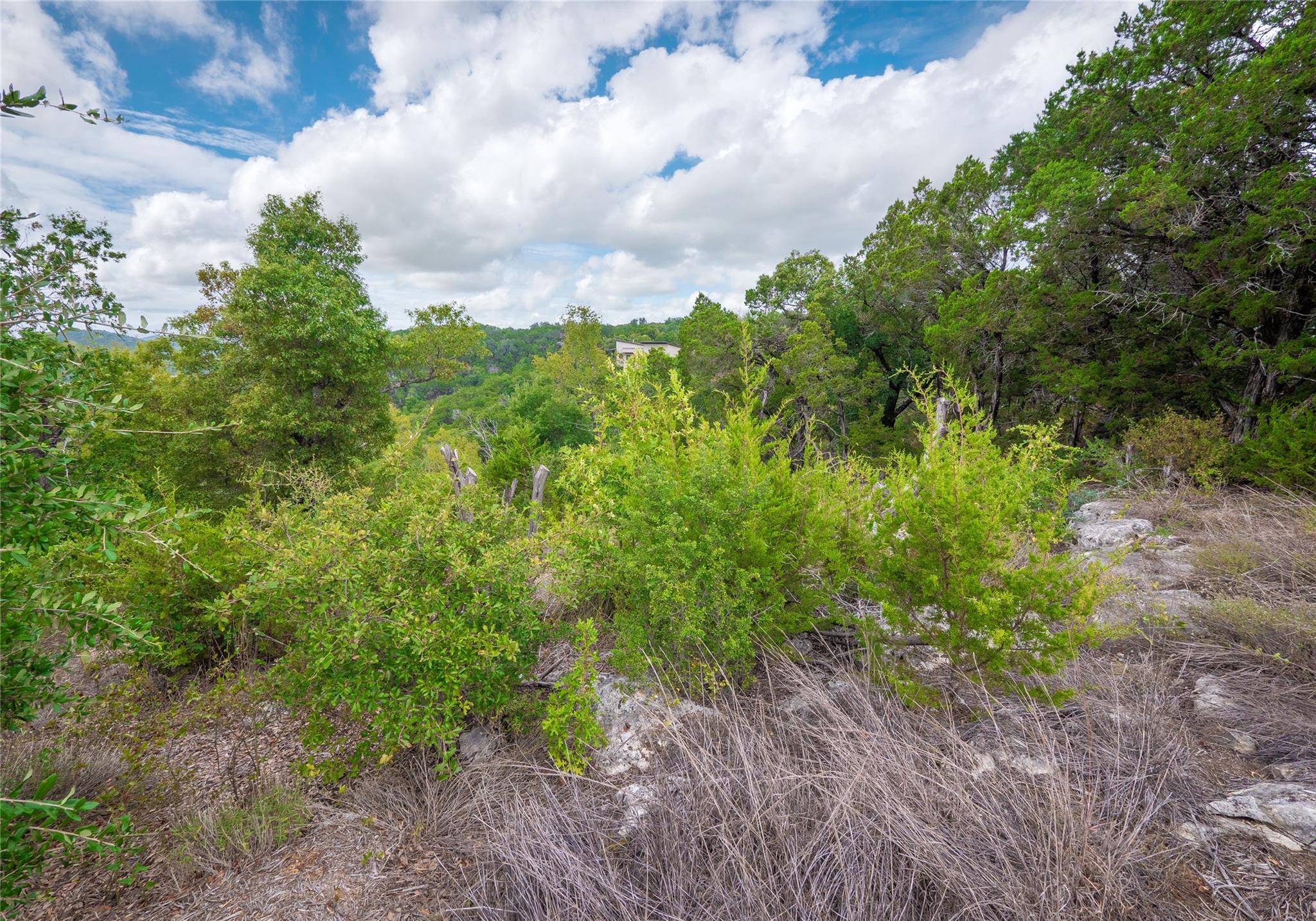 9002 Bar K Ranch Rd Property Photo 24