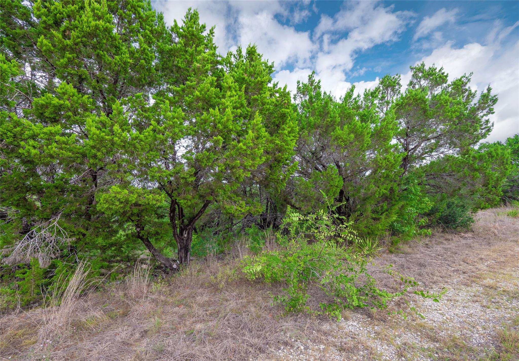 9002 Bar K Ranch Rd Property Photo 26