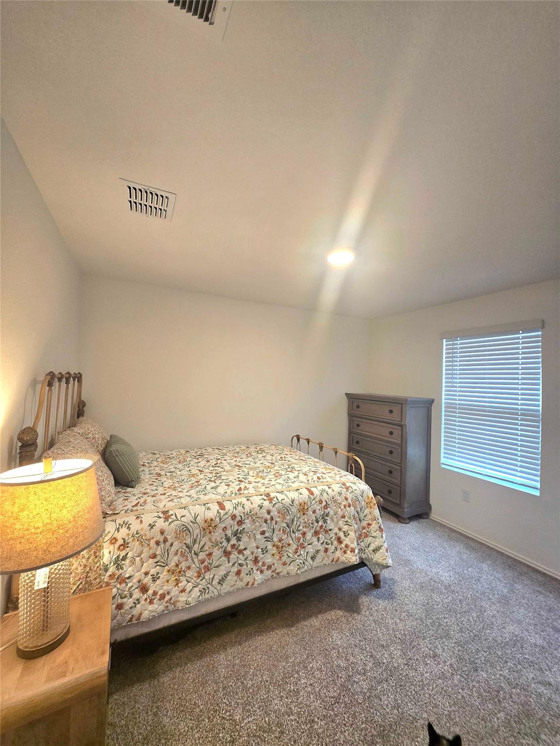 12419 Silversmith Ln Property Photo 22