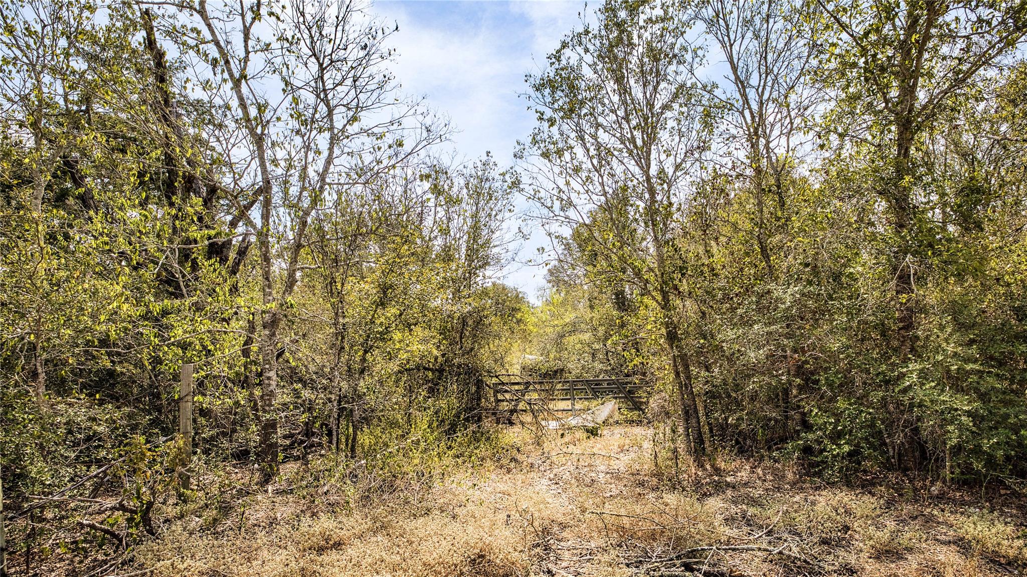 Tbd Dale Ln Property Photo 8