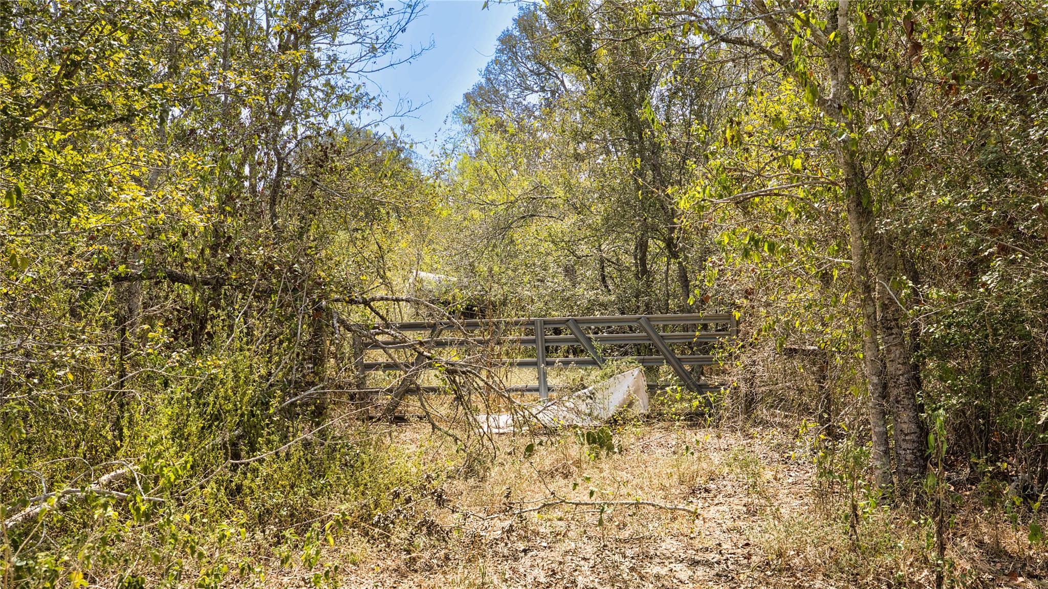 Tbd Dale Ln Property Photo 9