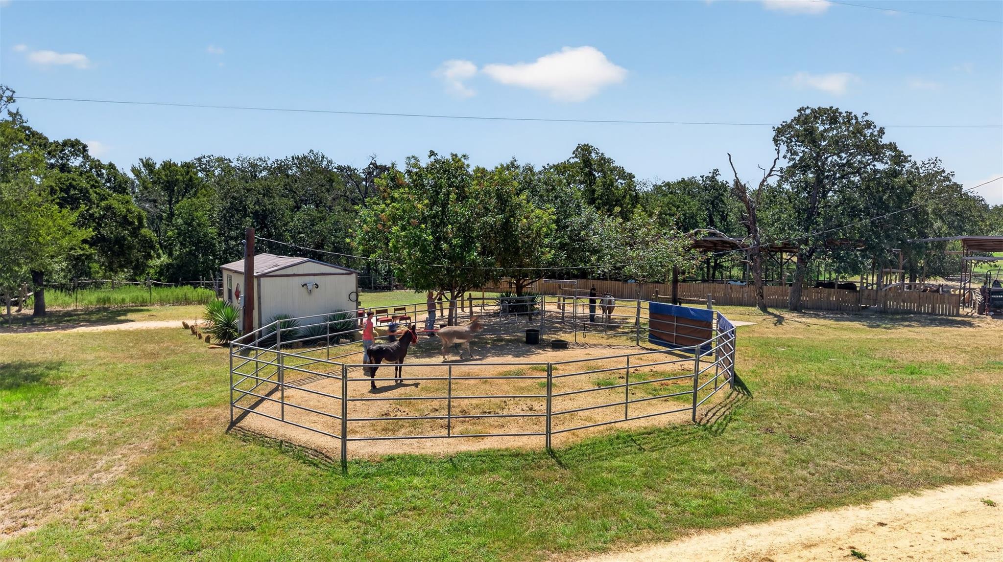 2274 County Road 203 Loop Property Photo 9