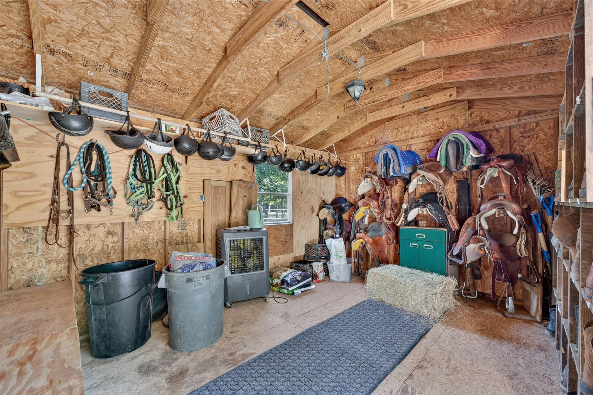 2274 County Road 203 Loop Property Photo 14