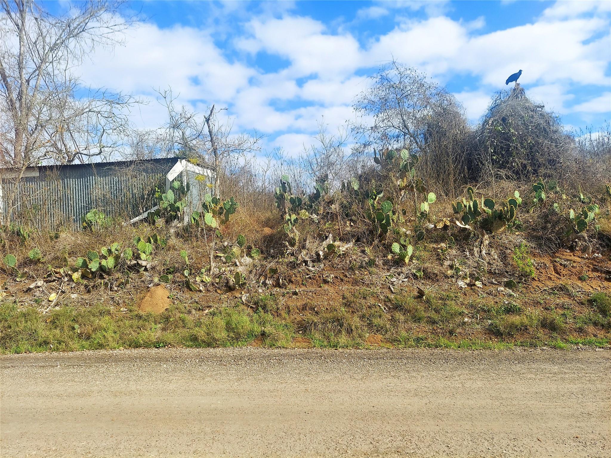 Tbd Young Rd Property Photo 2