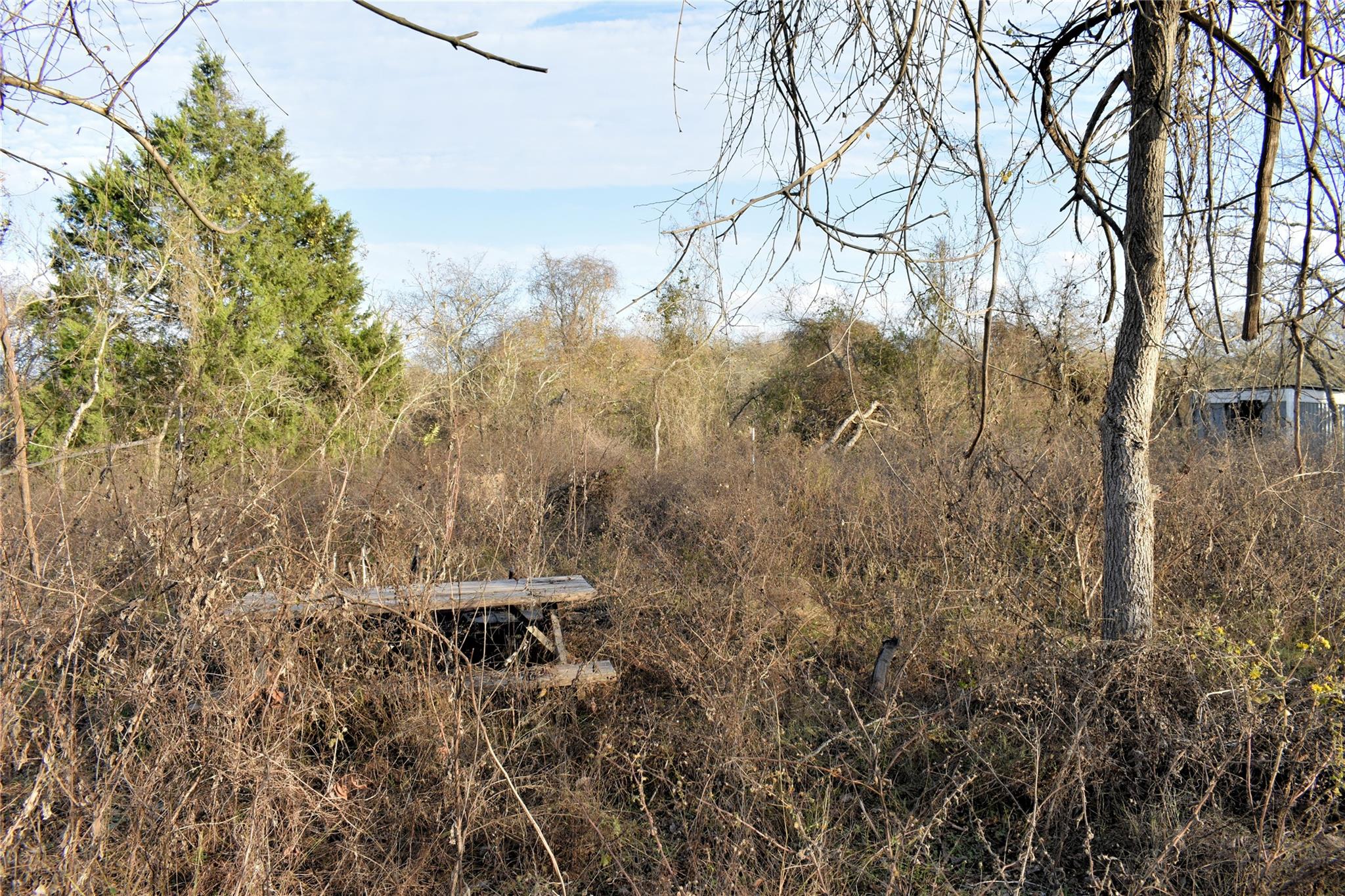 Tbd Young Rd Property Photo 5