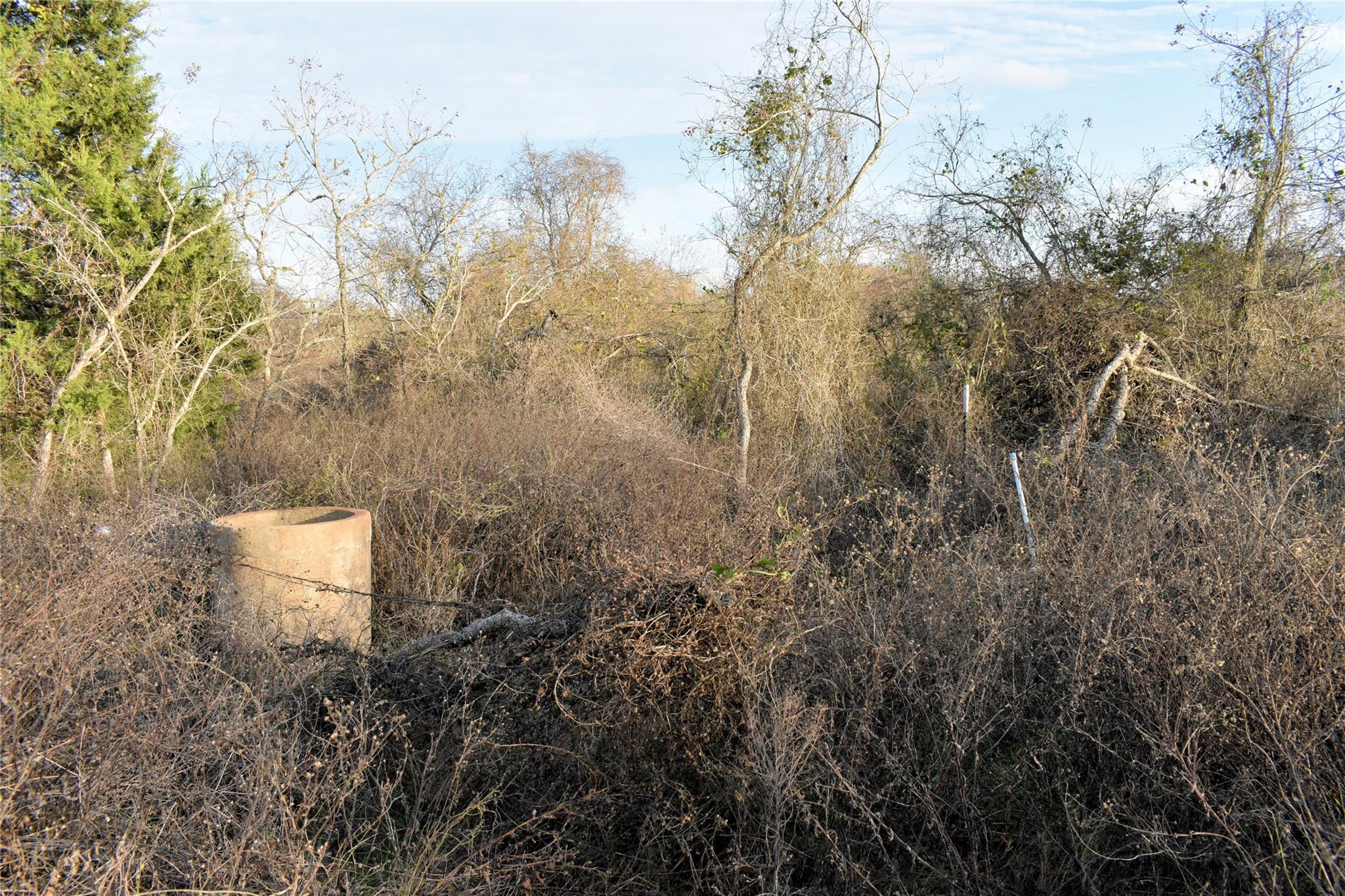 Tbd Young Rd Property Photo 7