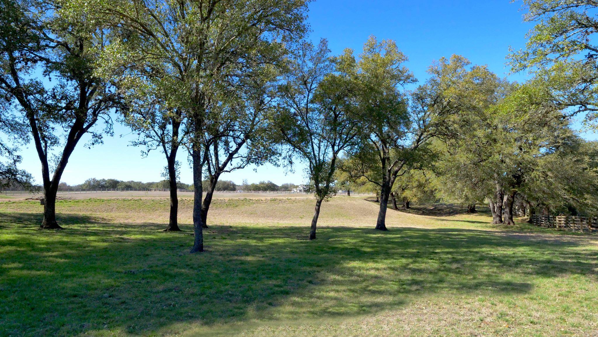 1115 County Road 414 None Property Photo 5