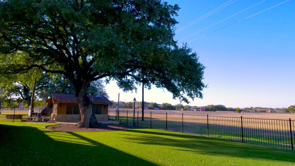 1115 County Road 414 None Property Photo 24
