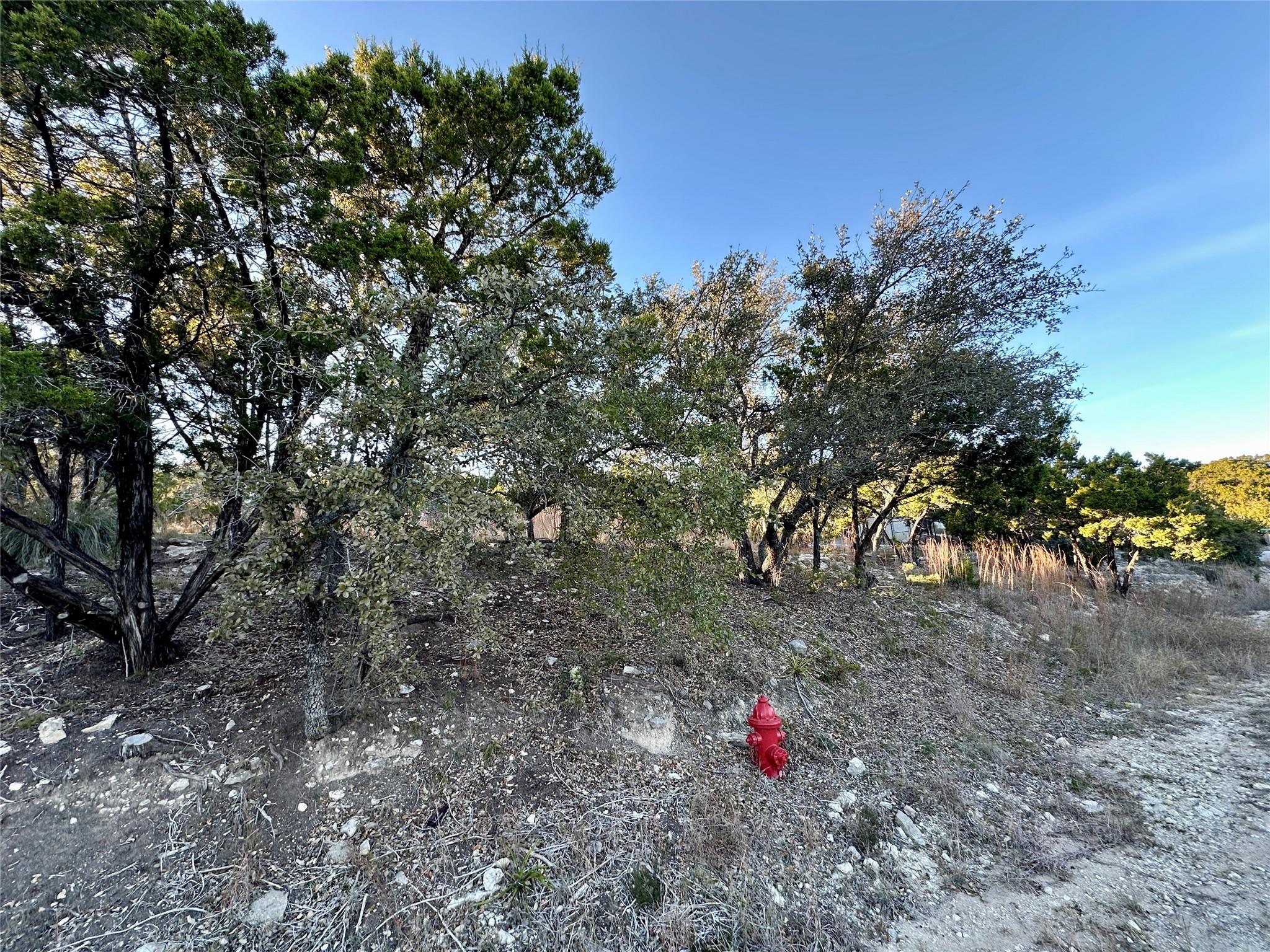 7704 Bar K Ranch Rd Property Photo 9
