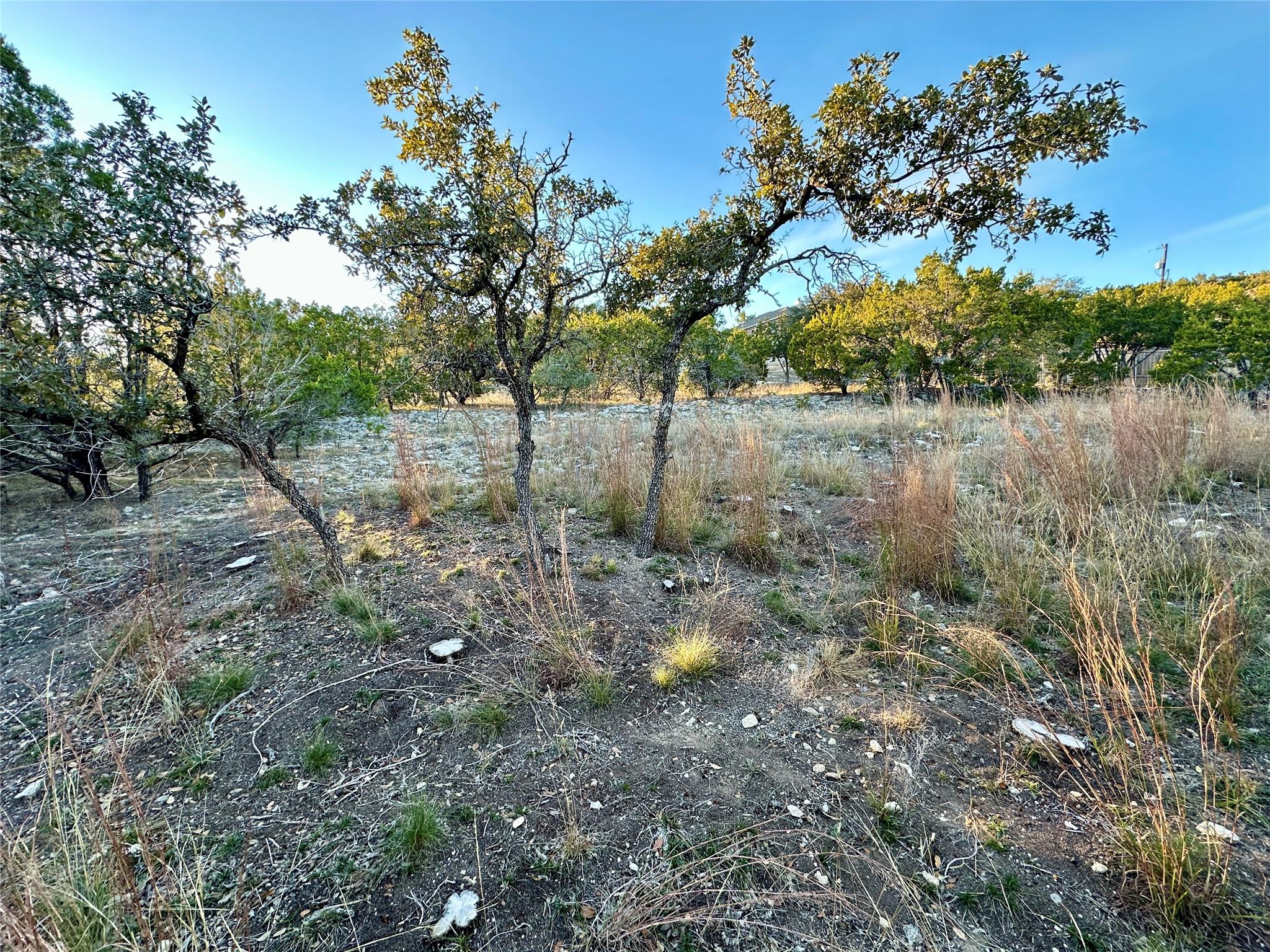 7704 Bar K Ranch Rd Property Photo 21