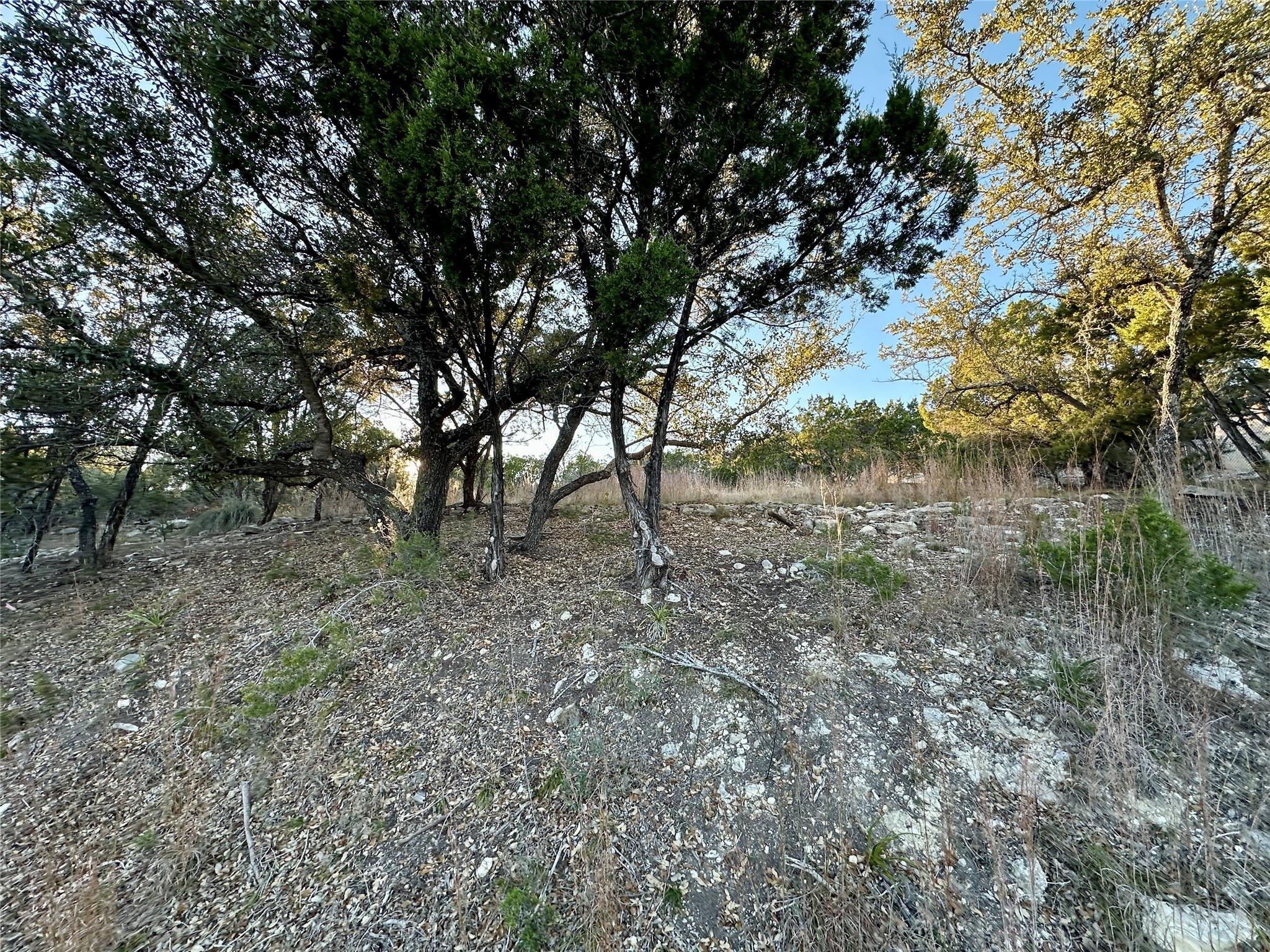 7704 Bar K Ranch Rd Property Photo 27