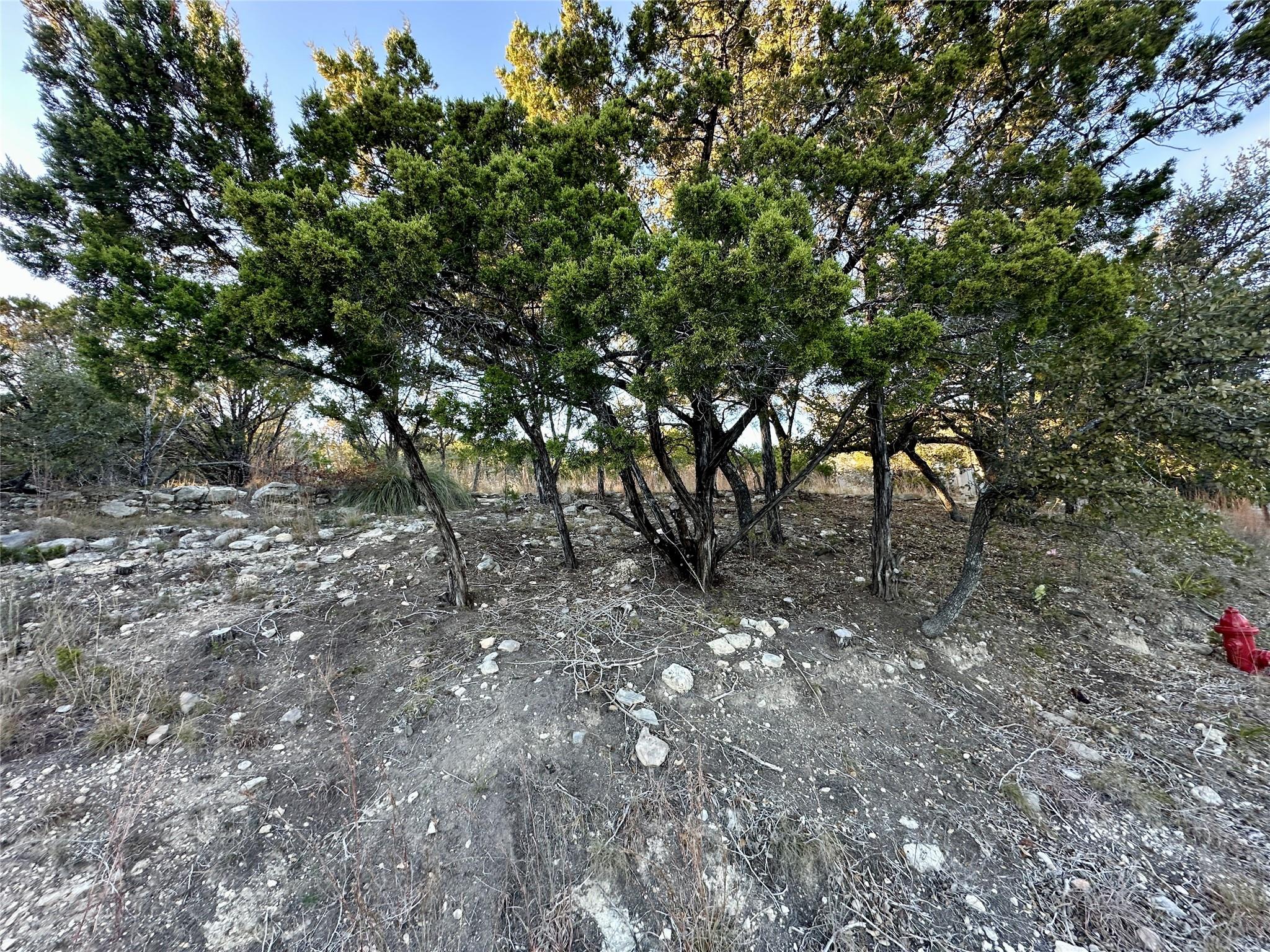7704 Bar K Ranch Rd Property Photo 30