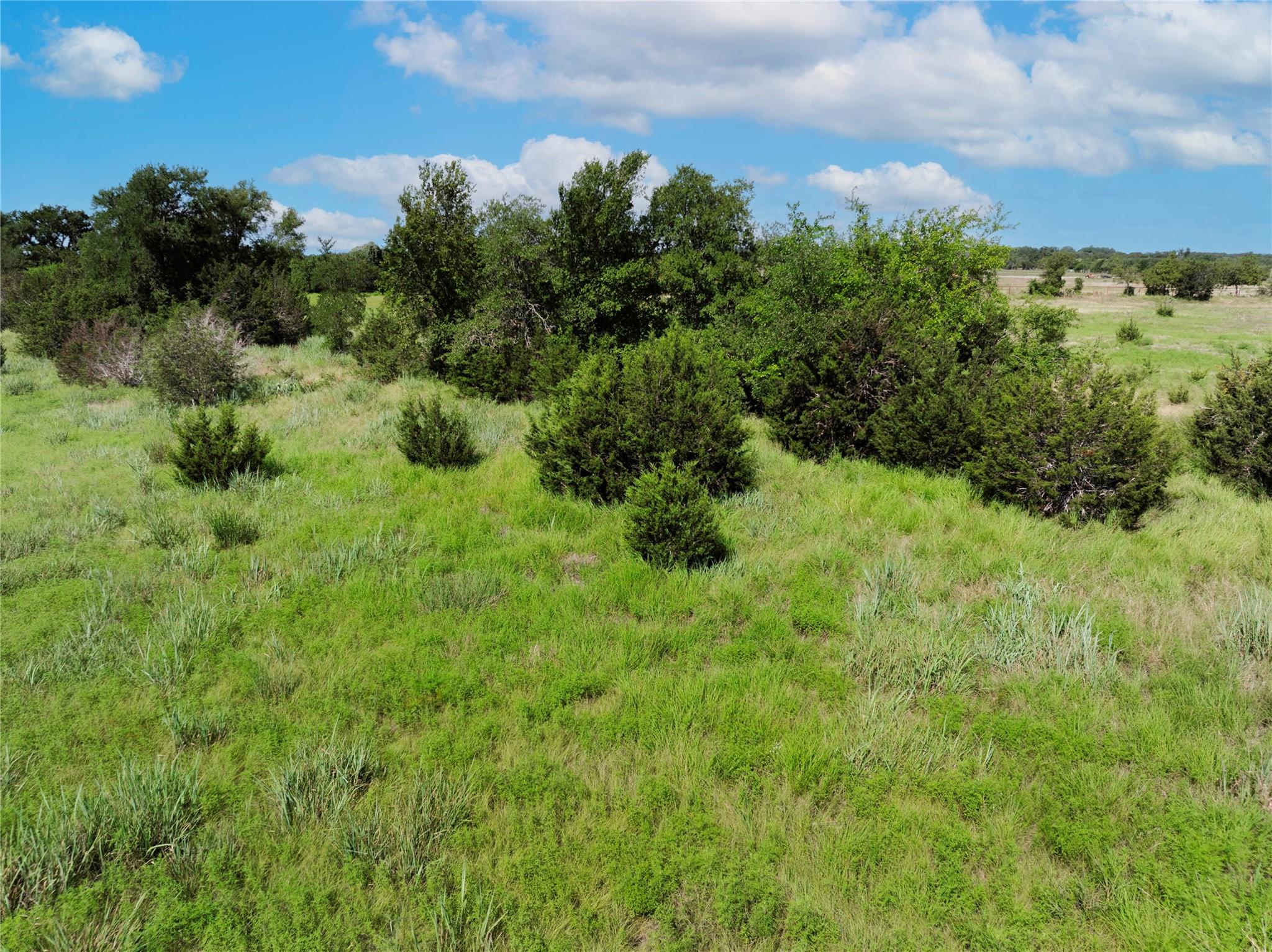 16 Acres County Road 246 Property Photo 7