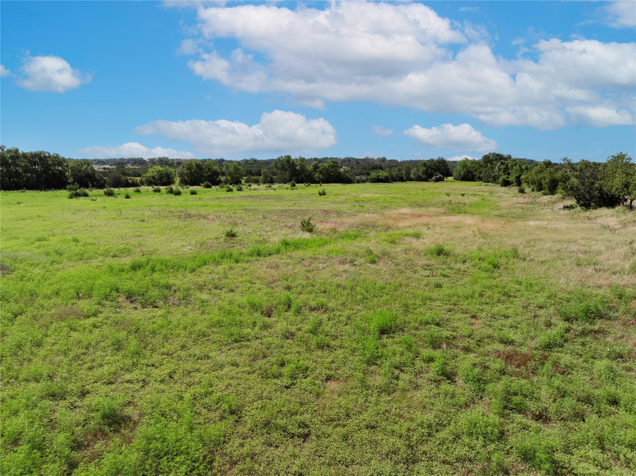 16 Acres County Road 246 Property Photo 8