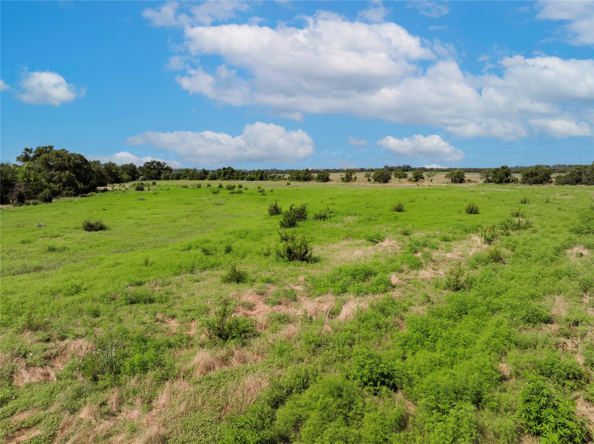 16 Acres County Road 246 Property Photo 16