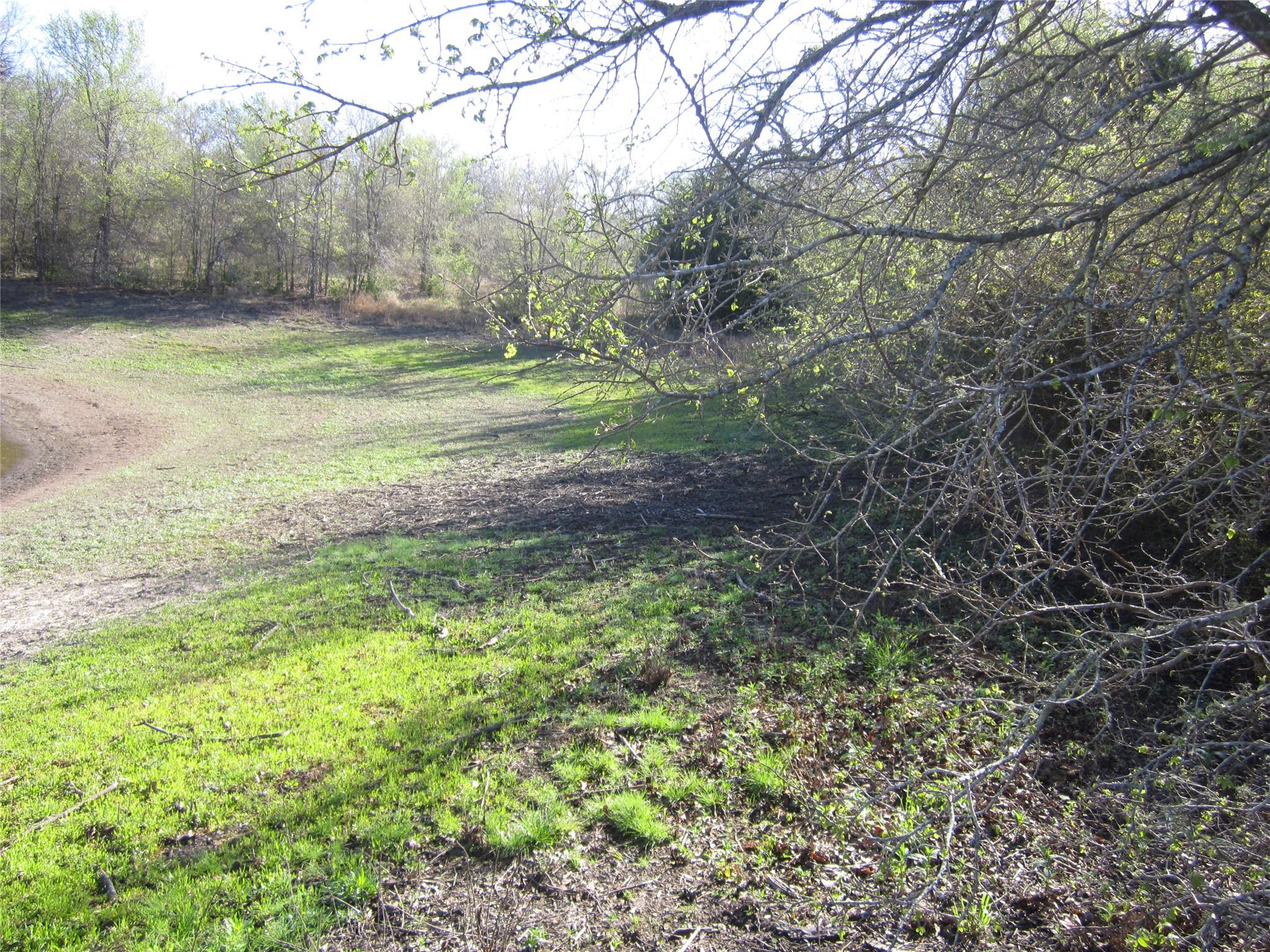 851 County Road 491 None Property Photo 2