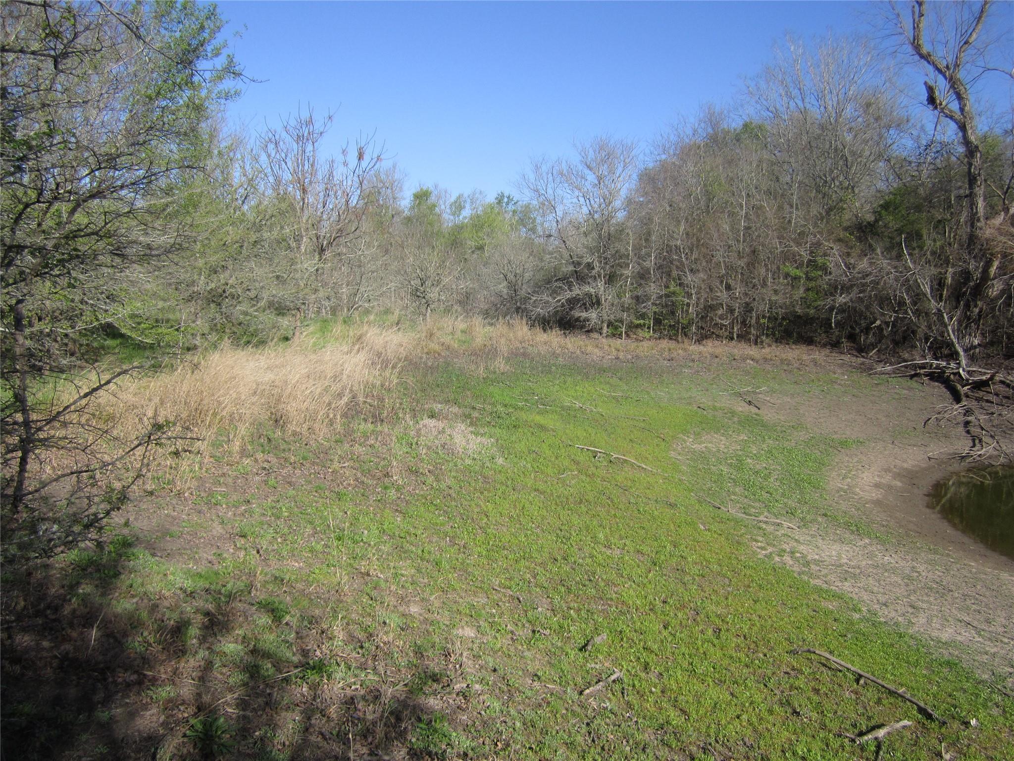 851 County Road 491 None Property Photo 3