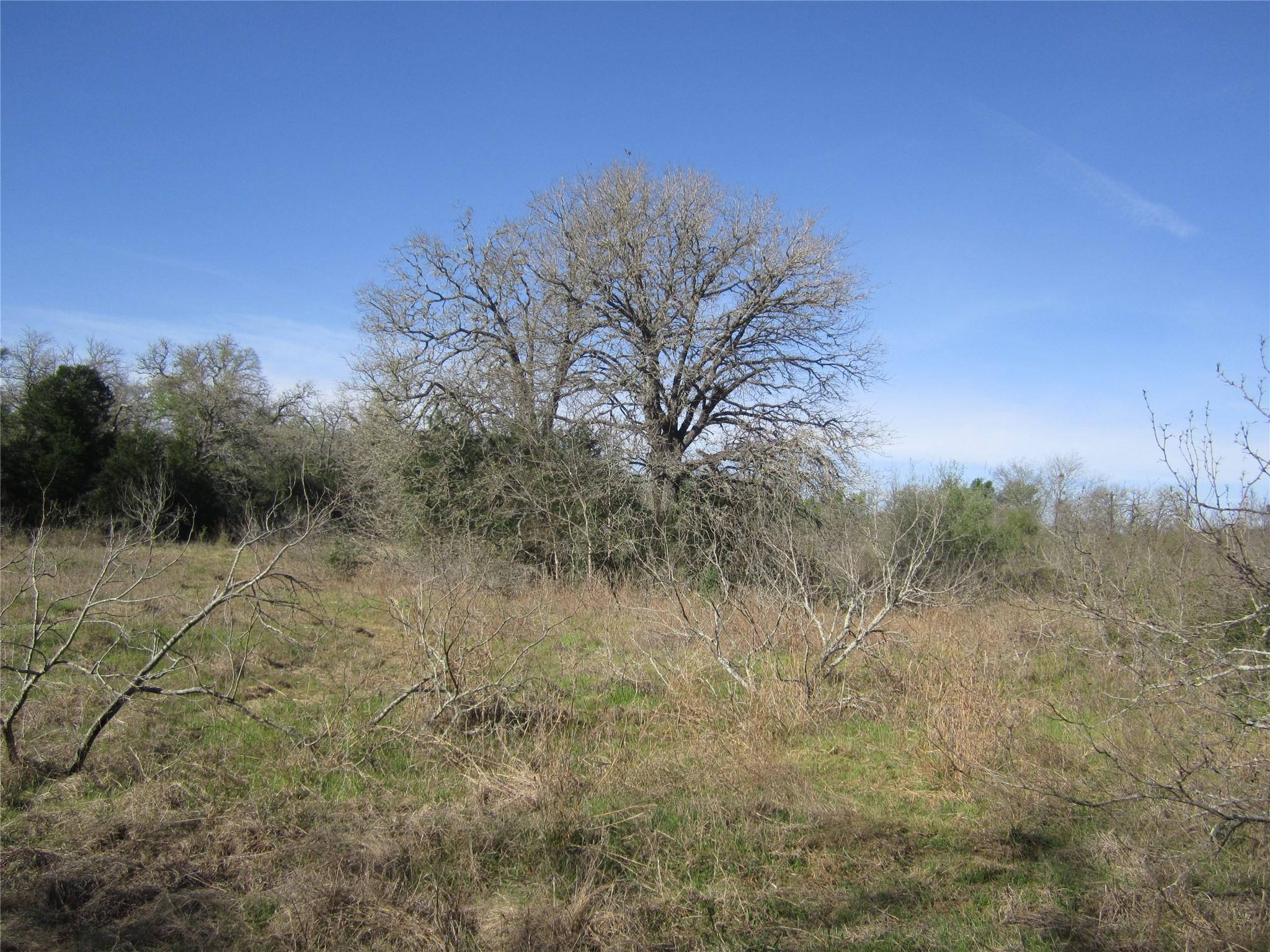 851 County Road 491 None Property Photo 4