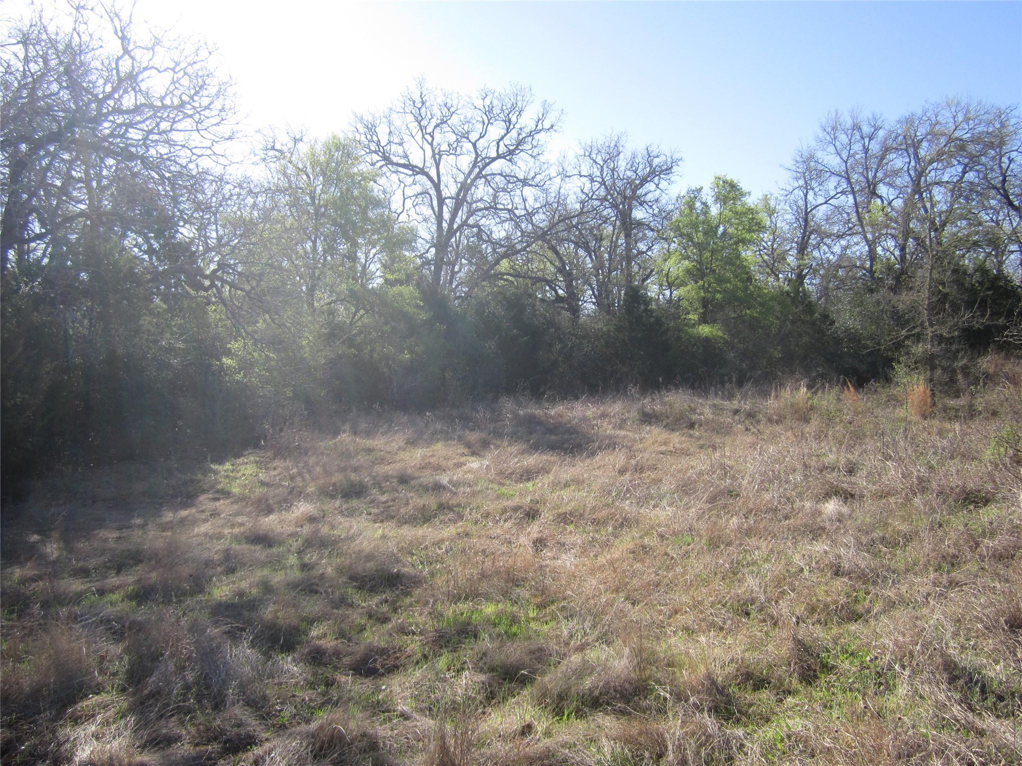 851 County Road 491 None Property Photo 6