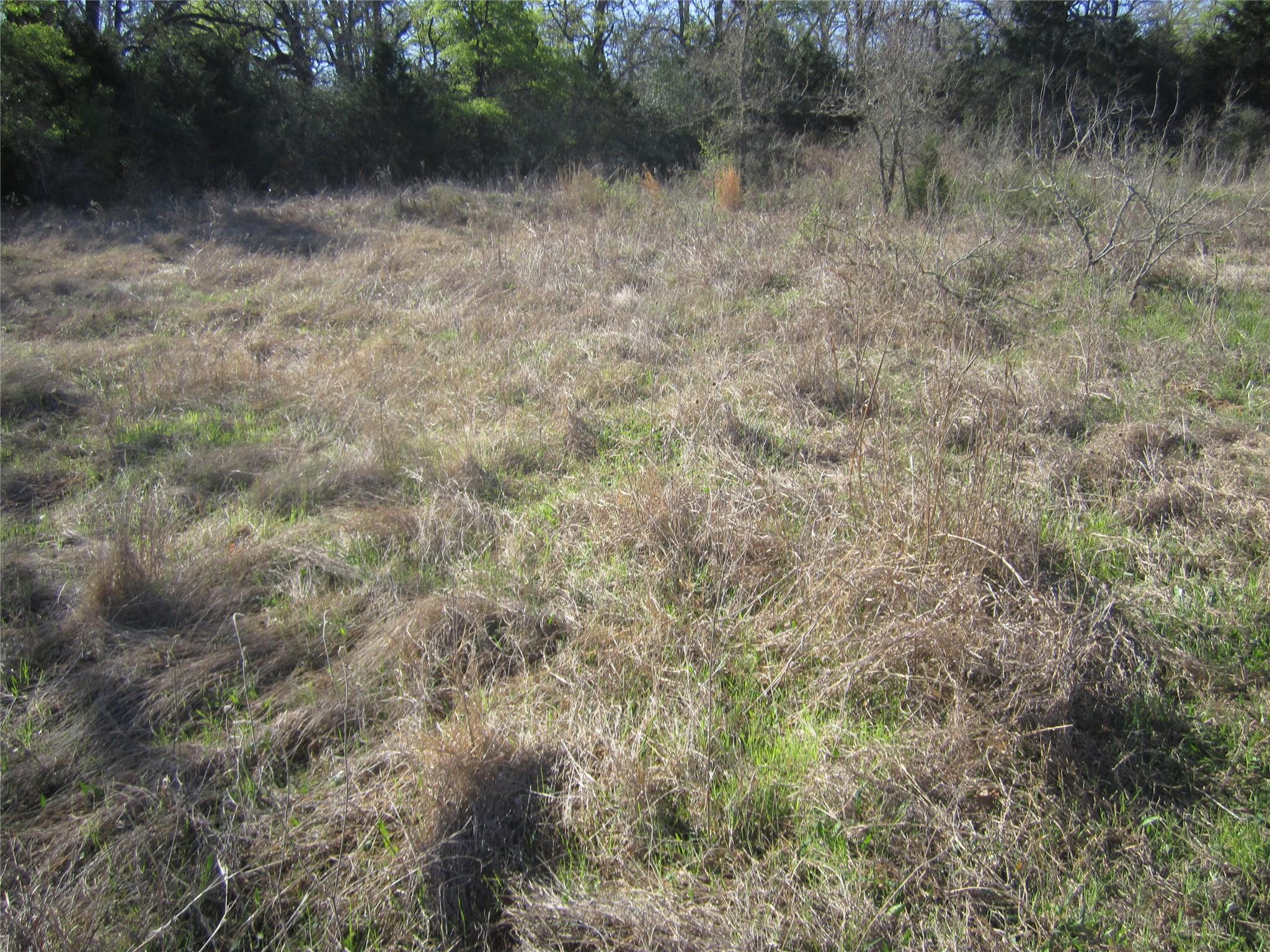 851 County Road 491 None Property Photo 7