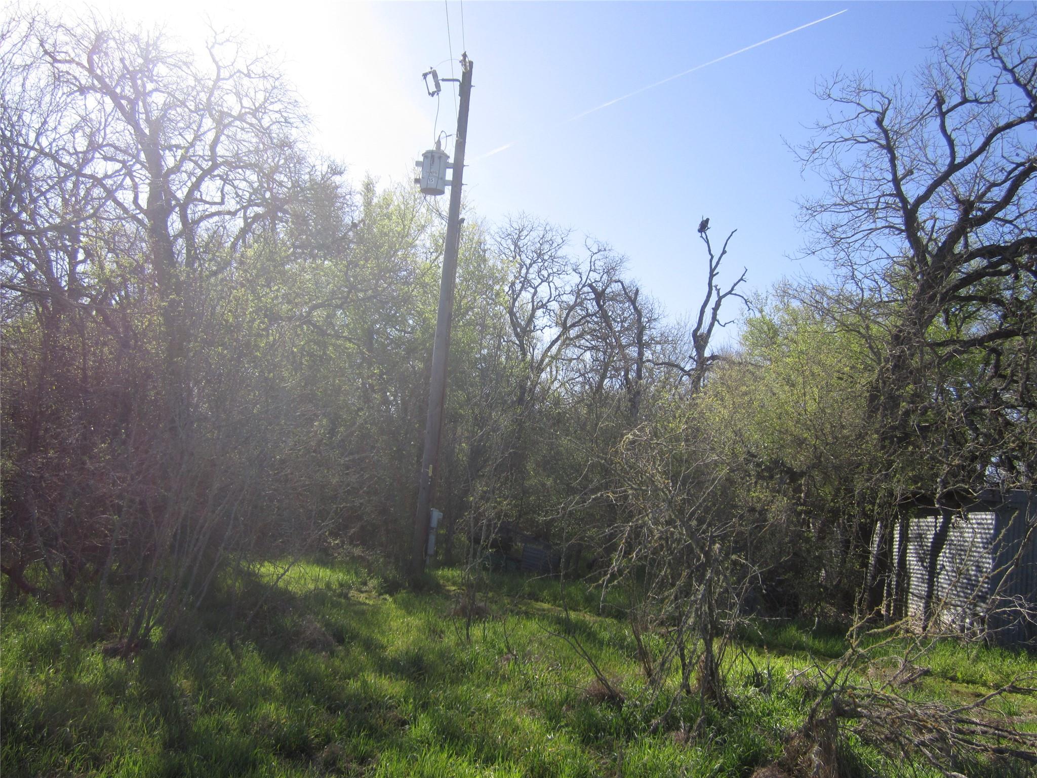 851 County Road 491 None Property Photo 10