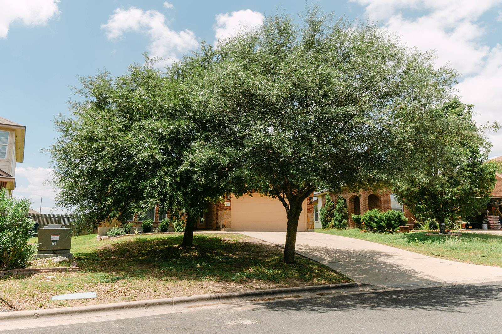 236 Bauxite Dr Property Photo 33