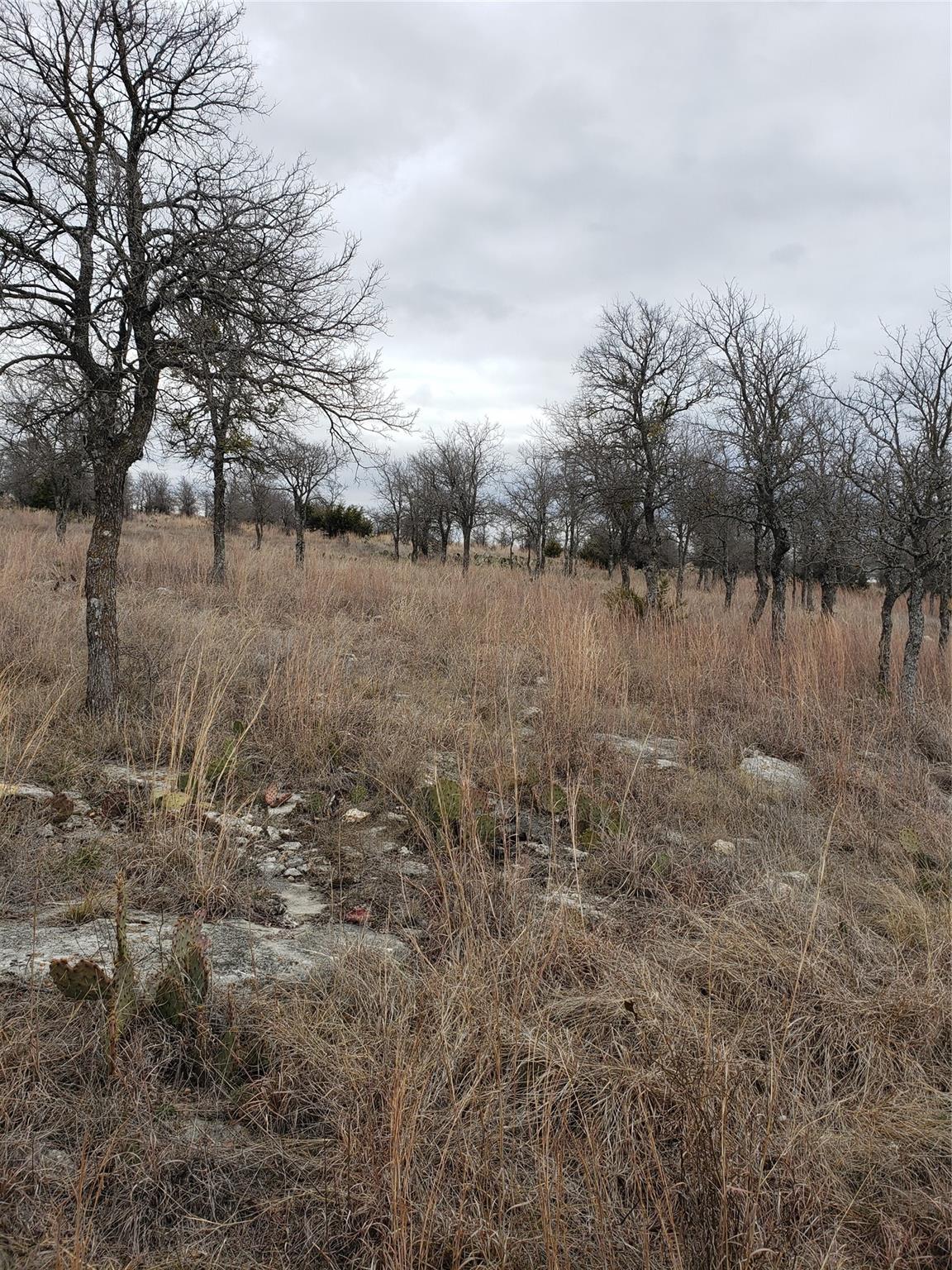 Lot 1 Shooting Star Ranch Property Photo 3