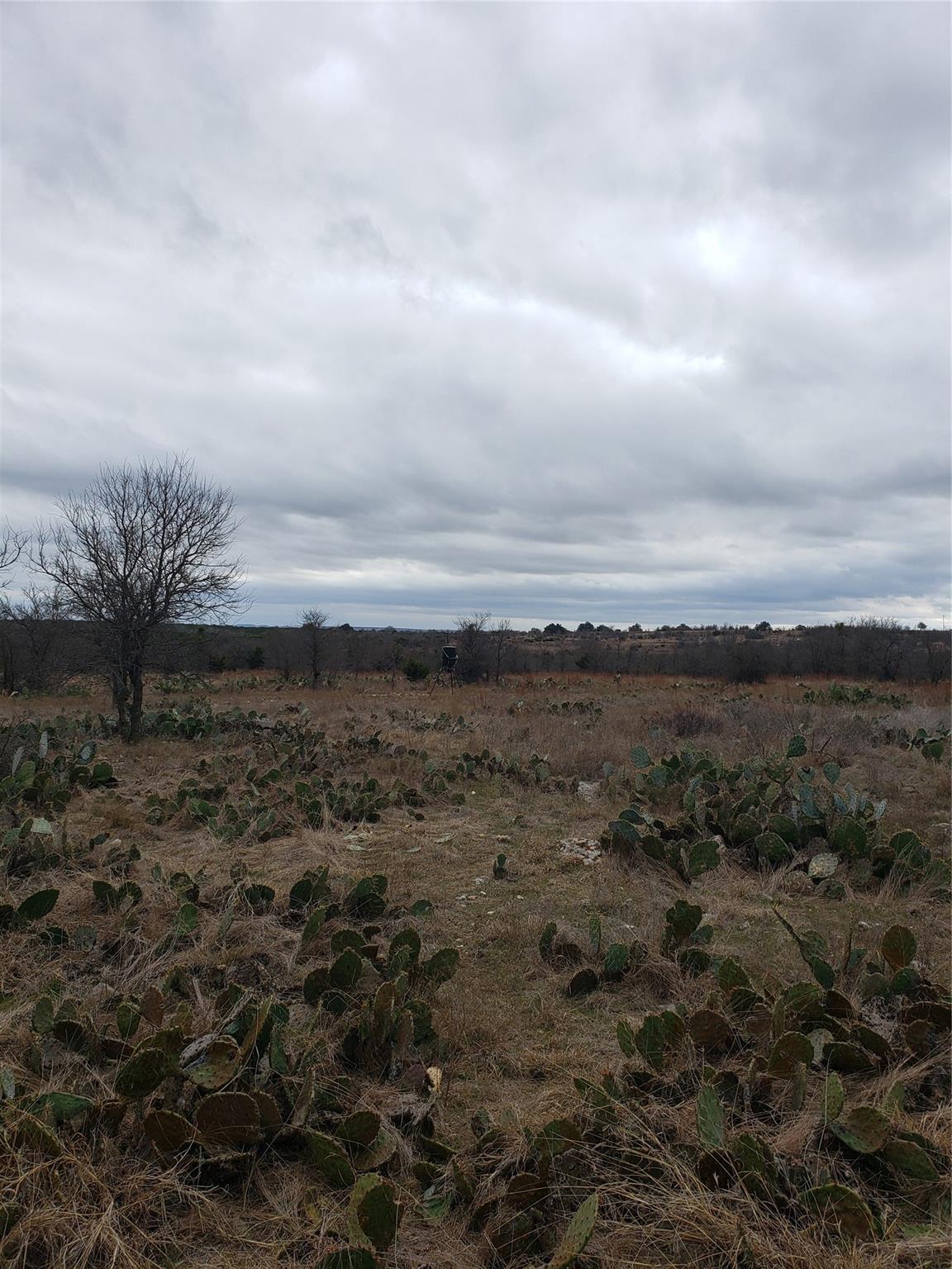 Lot 1 Shooting Star Ranch Property Photo 12