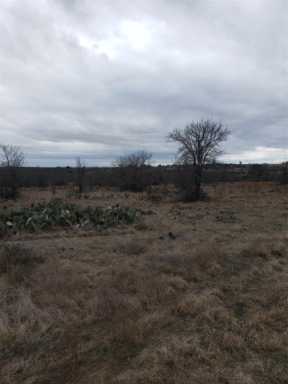 Lot 1 Shooting Star Ranch Property Photo 15