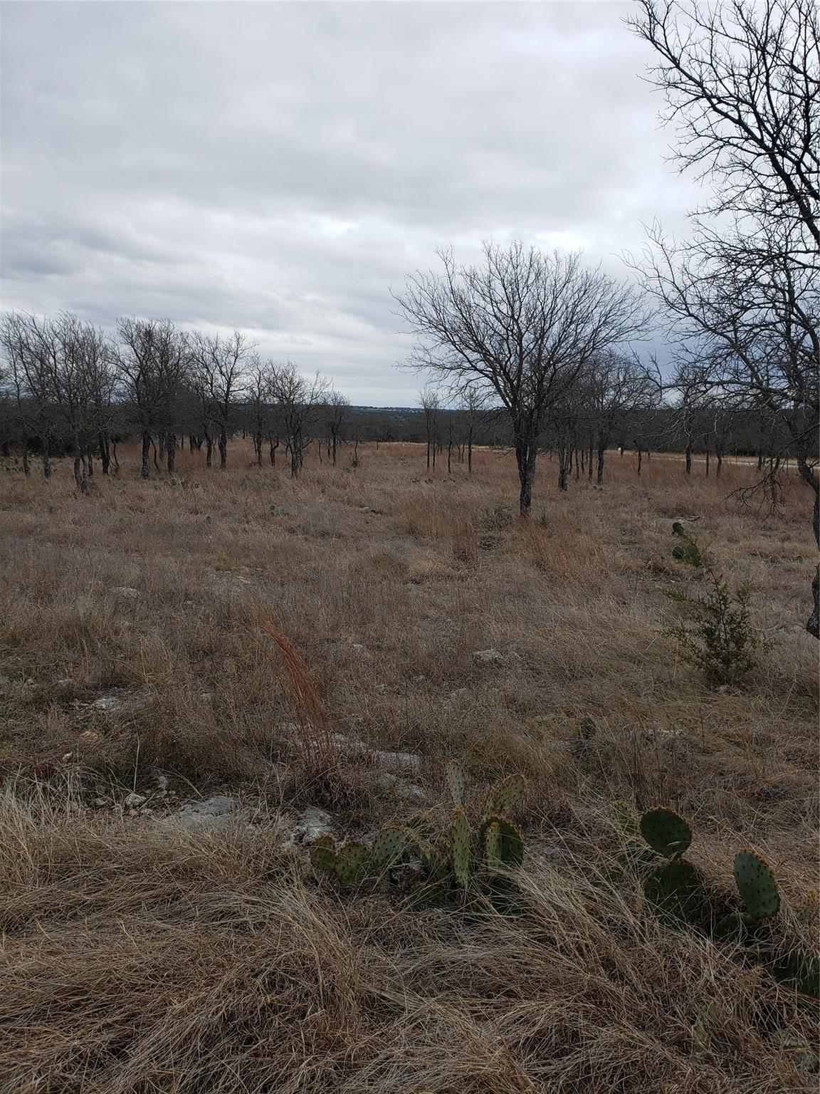 Lot 1 Shooting Star Ranch Property Photo 16