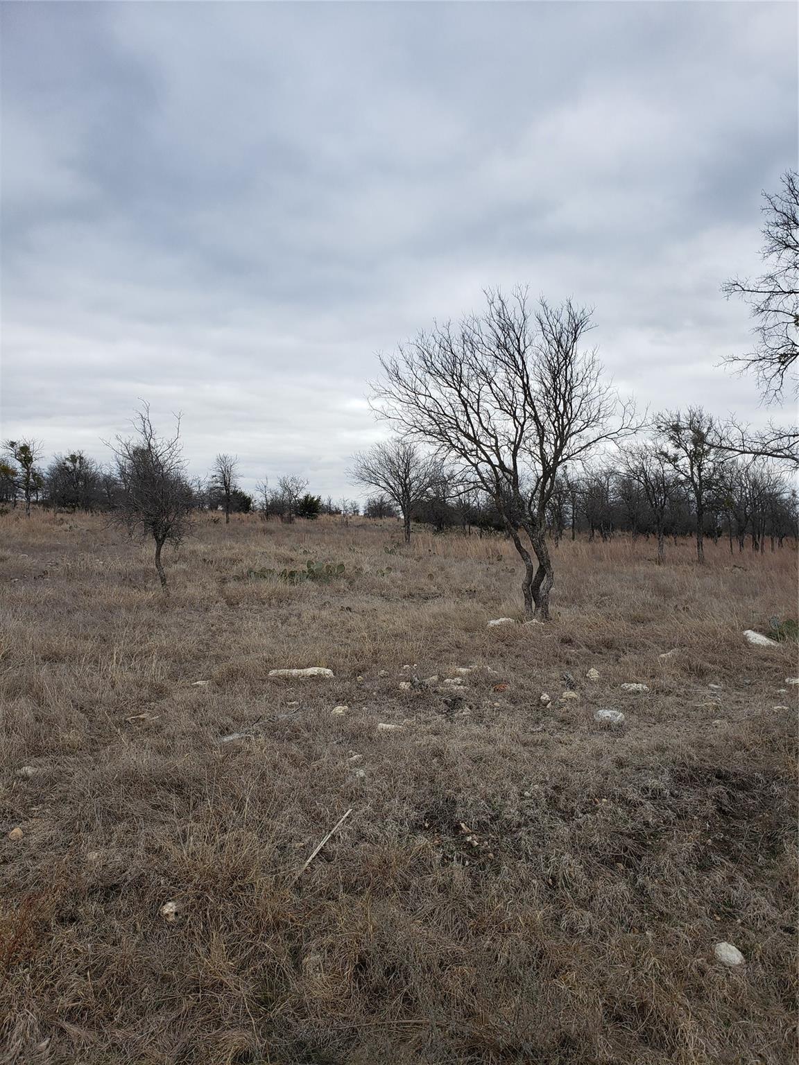 Lot 1 Shooting Star Ranch Property Photo 18