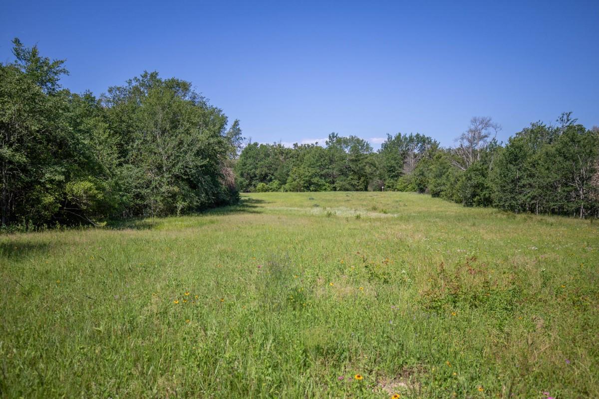 500 Fm 1953 Property Photo 21