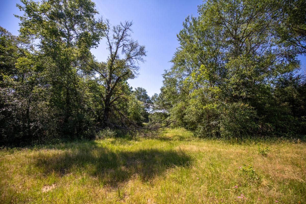 500 Fm 1953 Property Photo 23