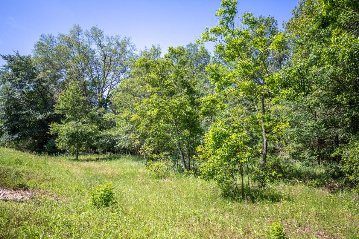 500 Fm 1953 Property Photo 25