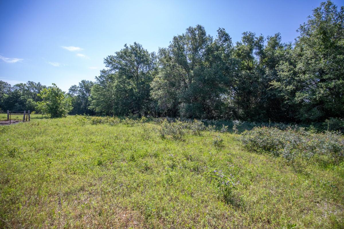 500 Fm 1953 Property Photo 29