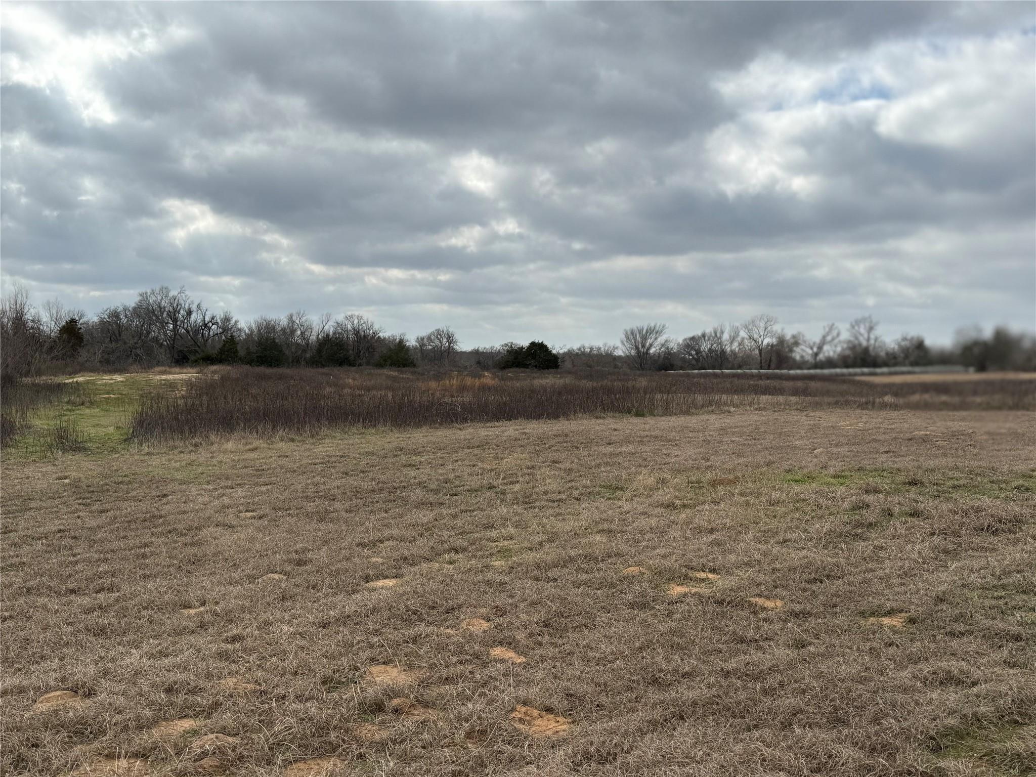 1500 County Road 481 Property Photo 12